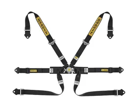 Sabelt FIA8853-2016 Silver Formula Racing Harness w/ 2-Inch Black Aluminum Pull Up Straps & Belts