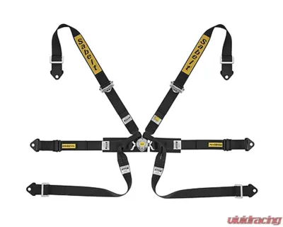 Sabelt FIA8853-2016 Silver Formula Racing Harness w/ 2-Inch Black Aluminum Pull Up Straps & Belts - CFCI2350A622FU3F6