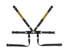 Sabelt FIA8853-2016 Silver Formula Racing Harness w/ 2-Inch Black Pull Up Straps & Belts
