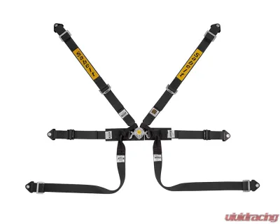 Sabelt FIA8853-2016 Silver Formula Racing Harness w/ 2-Inch Black Pull Up Straps & Belts - CFCI2350S622FU3F6