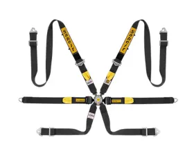 Sabelt PRO Enduro FIA8853-2016 Saloon Black Lap Belt