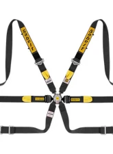 Sabelt PRO Enduro FIA8853-2016 Saloon Black Lap Belt                                     - CFCI2428G632SD7F - Image 2