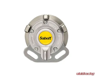 Sabelt PRO Enduro FIA8853-2016 Saloon Black Lap Belt - CFCI2428G632SD7F