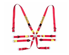 Sabelt FIA8853-2016 Enduro Silver Saloon 2 Inch Double Lap Racing Harness - Red