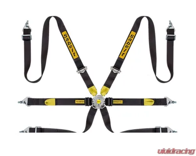 Sabelt FIA8853-2016 Enduro Platinum Full 2-Inch B1 Camlock Pull Down Lap Racing Harness - Red - CFCI42170054