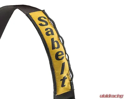 Sabelt FIA8853-2016 Enduro Platinum Full 2-Inch B1 Camlock Pull Down Lap Racing Harness - Red - CFCI42170054