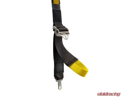 Sabelt FIA8853-2016 Enduro Platinum Full 2-Inch B1 Camlock Pull Down Lap Racing Harness - Red - CFCI42170054