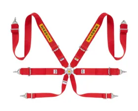 Sabelt FIA8853-2016 Steel Saloon Rally Racing Harness w/ 3 Inch Red Straps & Belts