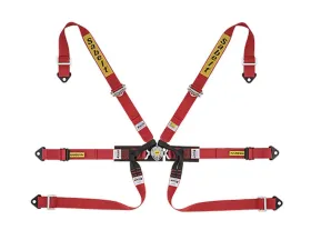 Sabelt FIA8853-2016 Silver Formula Racing Harness w/ 2-Inch Red Aluminum Pull Up Straps & Belts