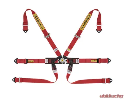 Sabelt FIA8853-2016 Silver Formula Racing Harness w/ 2-Inch Red Aluminum Pull Up Straps & Belts - CFCI4350A622FU3F6