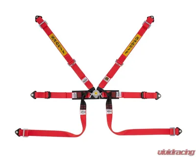Sabelt FIA8853-2016 Silver Formula Racing Harness w/ 2-Inch Red Pull Up Straps & Belts - CFCI4350S622FU3F6