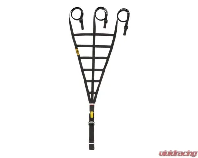 Sabelt Racing Window Net Eco FIA8863-2013 Approved - CFRN2002