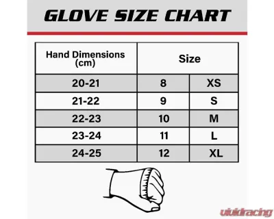 Sabelt FIA8856-2018 Challenge TG-2.1 Gloves Black - Size 09 - RFTG21NR09