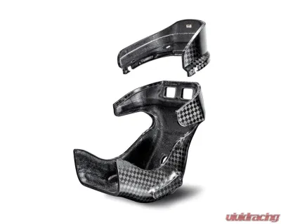 Sabelt SFI 39.1 Full Carbon Headrest NASCAR Approved - RCGT911AM