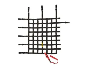 Sabelt Window Net Basic Not FIA