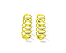 Steinjager Springs, Rear Coil Wrangler JK 2007-2018 2.5 Inch Lift Lemon Peel