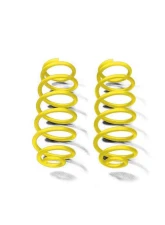 Steinjager Springs, Rear Coil Wrangler JK 2007-2018 2.5 Inch Lift Lemon Peel                                     - J0046668 - Image 3