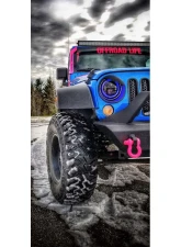 Steinjager D-Ring Shackle Gladiator JT 2019 Hot Pink 1 D-ring                                     - J0048886 - Image 4