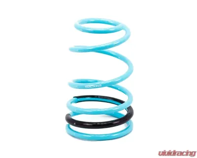 Godspeed Project Traction-S Lowering Springs Ford Mustang 2011-2014 - LS-TS-FD-0003-B