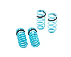 Godspeed Project Traction-S Lowering Springs Ford Mustang 1994-1998