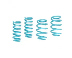 Godspeed Project Traction-S Lowering Springs Ford Flex 2009-2018