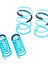 Godspeed Project Traction-S Lowering Springs Mitsubishi Lancer 2008-2016                                     - LS-TS-MI-0005-A - Image 2