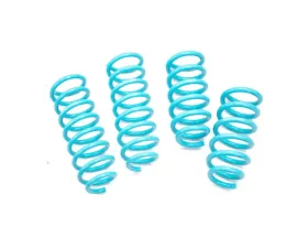 Godspeed Project Traction-S Lowering Springs Tesla Model S 2014-2021