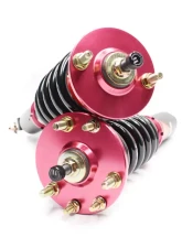 Godspeed Project MAXX Coilover Acura TSX 2009-2014                                     - MMX2530-A - Image 2