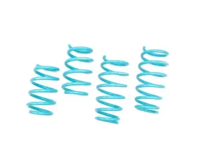 Godspeed Project Traction-S Performance Lowering Spring Ford Edge 2007-2014