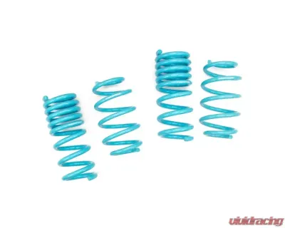 Godspeed Project Traction-S Performance Lowering Spring Ford Edge 2015-2022 - LS-TS-FD-0014