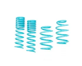 Godspeed Project Traction-S Performance Lowering Spring Ford Escape 2014-2019