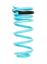 Godspeed Project Traction-S Performance Lowering Spring Mini Cooper 2002-2006                                     - LS-TS-MC-0002 - Image 3