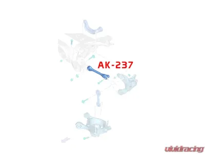 Godspeed Project Adjustable Toe Rear Trailing Arms Lincoln Continental L9 2017-2020 - AK-237-C