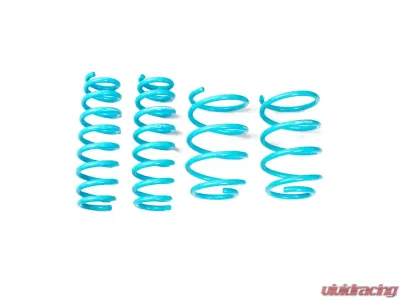 Godspeed Project Traction-S Performance Lowering Springs BMW 3-Series Wagon RWD E91 2006-2012 - LS-TS-BW-0018-B