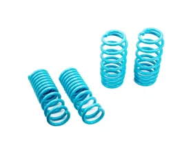 Godspeed Project Traction-S Performance Lowering Springs Dodge Charger R | |T SRT RWD 2011-2021