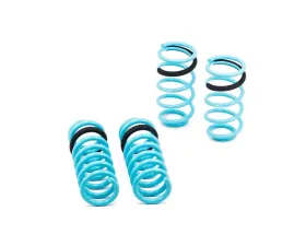 Godspeed Project Traction-S Performance Lowering Springs Ford Mustang Coupe 1999-2004