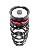 Godspeed Project MAXX Coilovers Scion xA NCP31 2004-2006                                     - MMX3030-B - Image 4