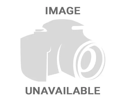Dart 14-Degree Big Chief Oval Port Heads - 18375189