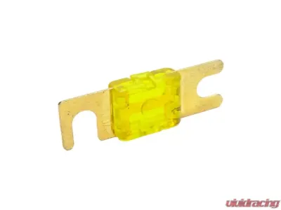 Snow Performance 100 Amp Fuse - SNF-25012