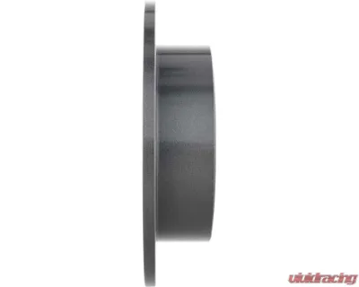 Brembo Premium UV Coated Rear Brake Rotor 262mm for Chrysler, Dodge, Jeep Models 2007-2017 - 08.A114.31