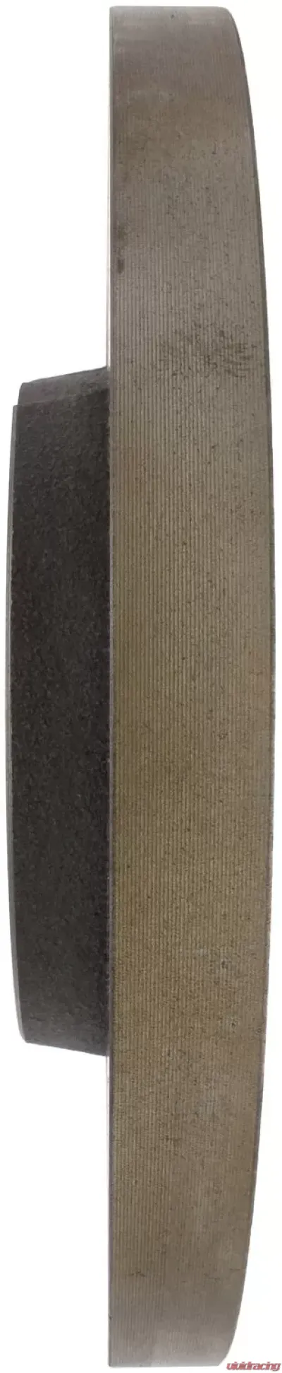 Centric C-Tek Standard Brake Rotor 121.45016 - 121.45016