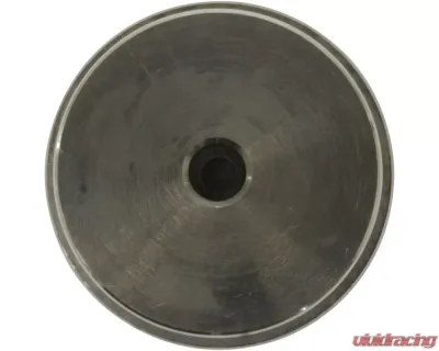 Centric Caliper Piston 146.40046 - 146.40046