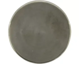Centric Caliper Piston 146.44023