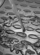 Westin Automotive Profile Floor Liners 4-Pc Set for BMW 320i/328i/335i Front & Rear Black Rubber                                     - 74-03-41019 - Image 5