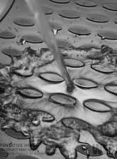 Westin Automotive Profile Floor Liners Front & 2nd Row Black Rubberized Polymer for 2019-2021 Silverado 1500, Sierra                                     - 74-06-51037 - Image 5