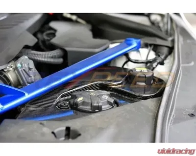 Rexpeed Carbon Coolant Cover Toyota Supra A90 2020-2024 - TS41