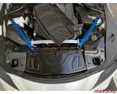 Rexpeed Forged Carbon Cooling Plate-Gloss Toyota Supra A90 2020-2024 - TS49FC