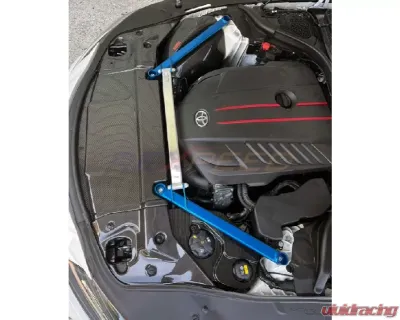 Rexpeed Carbon Fiber Cooling Plate-Matte Toyota Supra A90 2020-2024 - TS49M