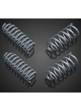 Brabus Lowering Spring Kit                                     - 232-008-00-FL - Image 3