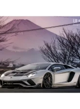 Liberty Walk Performance Dry Carbon Side Diffusers Lamborghini Aventador S 2012-2020                                     - LBW-LAM-SD-DC - Image 3